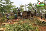 Nhận đất rừng để quản lý, vợ của nguyên PGĐ Công an tỉnh Đắk Nông cắt bán tràn lan