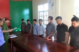 Lâm Đồng: ‘Bảo kê’ để GĐ công ty phá rừng kiếm hàng trăm triệu đồng, 7 cán bộ bị khởi tố