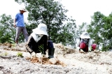 Quảng Trị thu hồi hơn 150ha đất rừng do cựu chủ tịch xã cấp sai