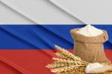Nga yêu cầu nước ngoài trả tiền ngũ cốc bằng đồng rúp