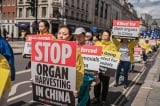 Dự luật Thượng viện lưỡng đảng nhằm trừng phạt Bắc Kinh vì mổ cướp nội tạng