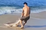 Video người đàn ông tay không vật lộn với cá mập trên bãi biển