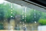 Nghiên cứu: Nước mưa ở khắp mọi nơi trên Trái Đất đều không an toàn để uống