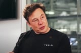 Elon Musk: AI có khả năng “phạm sai lầm và hủy diệt loài người”