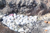 Bình Dương: Cơ sở sản xuất muối chôn hơn 2.000 tấn chất thải trái phép