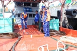 Liên tiếp hơn 115.000 lít dầu DO trái phép bị bắt giữ trên khu vực biển Tây Nam