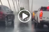 Nhiều tài xế ô tô “dìu” xe máy qua cầu Bãi Cháy trong mưa lốc