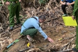 Vùi thuốc diệt cỏ vào nguồn nước ở Lào Cai: Nghi phạm bị khởi tố tội Giết người