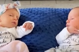 Cặp vợ chồng người Mỹ đón hai con sinh đôi từ phôi thai đông lạnh 30 năm
