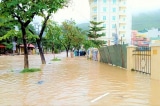 Nước cuồn cuộn đổ về sau mưa lớn, TP. Quy Nhơn có nơi ngập hơn 1,5m