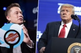 Ông Trump cảm ơn Elon Musk, người dùng 44 tỷ USD mua “hiện trường vụ án”