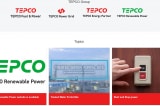 Tepco Group chi 33,1 triệu USD, mua 25% cổ phần của Phát triển điện lực Việt Nam
