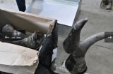 Buôn lậu ngà voi, xương sư tử… tới 300 tỷ đồng tại Đà Nẵng: Truy tố GĐ công ty ‘ma’