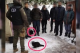 Ukraine: Soát nhà thờ, tịch thu tuyên truyền, bắt gián điệp, và làm mờ mặt “đặc vụ mèo”