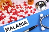 WHO: Sự gián đoạn gây ra bởi COVID-19 dẫn đến hơn 63.000 ca tử vong do sốt rét