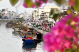 “Trên bến dưới thuyền” tấp nập tại chợ hoa xuân bến Bình Đông