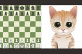 Năm Mão chơi cờ mèo