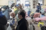Doanh nhân Đài Loan bị “phổi trắng lớn”, bác sĩ: Ở lại Trung Quốc chỉ có đường chết
