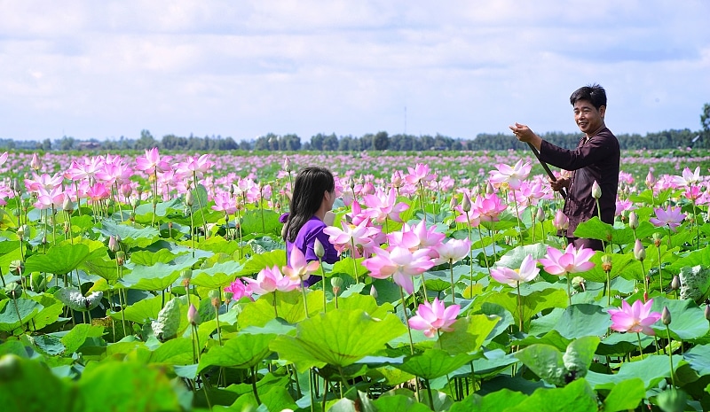 Vài làng hoa nổi tiếng đón Tết