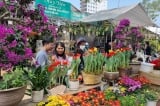 Hương sắc xuân tại chợ hoa Vạn Phúc (Hà Nội) ngày 30 Tết