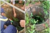 Đắk Lắk: Người đàn ông được đưa lên mặt đất sau 4 ngày rơi xuống giếng sâu 25m