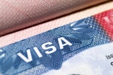Bắt giữ người Việt bị nghi dùng giấy tờ giả để xin visa du học Mỹ