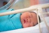 Chuyên gia lo ngại trẻ sơ sinh sẽ thành cỗ máy sản xuất nội tạng cho ĐCSTQ