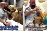 Chú chó ở bên cạnh an ủi chủ trong suốt quá trình điều trị bệnh