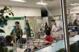 Hà Nội: Hơn 50 học sinh tiểu học nghi bị ngộ độc sau chuyến dã ngoại