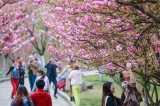 Trung Quốc: Khuyến khích sinh viên ‘tận hưởng tình yêu’ với kỳ nghỉ xuân kéo dài