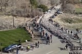 Mỹ: Cảnh tượng 2.500 con cừu băng qua đường khiến hàng trăm người thích thú 