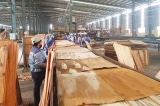 Mỹ gia hạn điều tra chống lẩn tránh thuế với gỗ dán và pin mặt trời từ Việt Nam