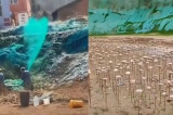 [VIDEO] TQ: Nghi vấn dùng sơn phun làm giả cảnh quan xanh