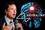 Công ty cấy chip não Neuralink của Elon Musk được định giá tăng vọt