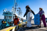 Cấm nhập khẩu cá Nhật Bản, nhưng ĐCSTQ cho ngư dân bắt cá ở vùng biển Nhật Bản