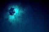 Tìm thấy loại virus bí ẩn ở rãnh đại dương sâu nhất thế giới