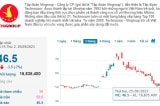 Cổ phiếu Tập đoàn Vingroup mất 40% giá trị từ khi VinFast niêm yết
